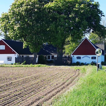 Knappagarden Glemminge Zewnętrze zdjęcie