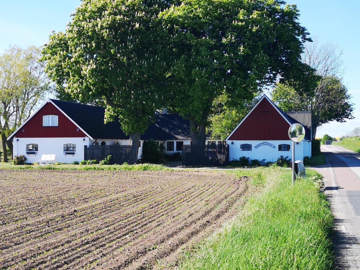 Knappagarden Glemminge Zewnętrze zdjęcie